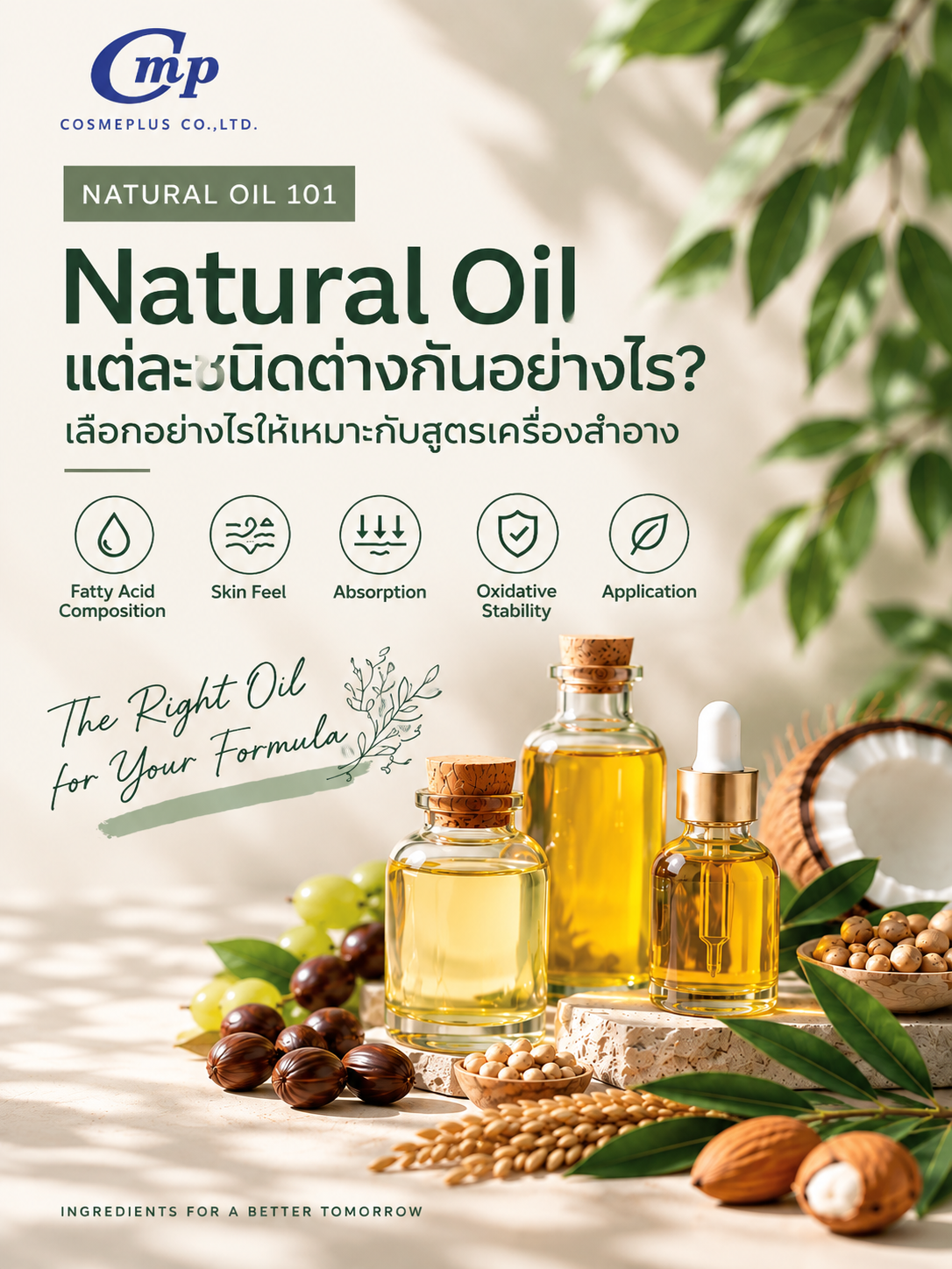 Natural Oil คืออะไร? เลือกน้ำมันสำหรับผลิตเครื่องสำอางอย่างไร