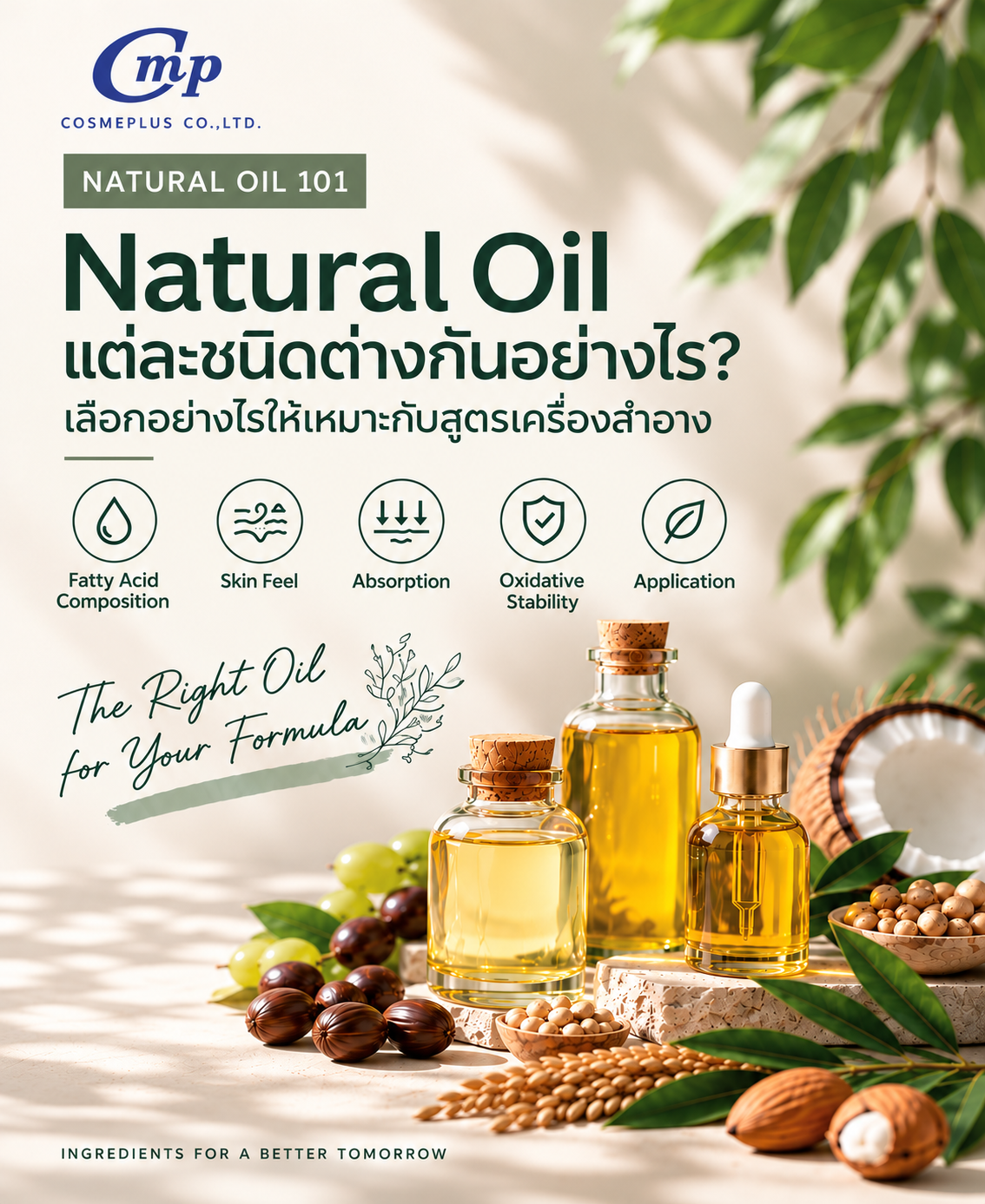 Natural Oil คืออะไร? เลือกน้ำมันสำหรับผลิตเครื่องสำอางอย่างไร