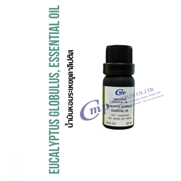 น้ำมันหอมระเหย ยูคาลิปตัส Eucalyptus , Essential Oil